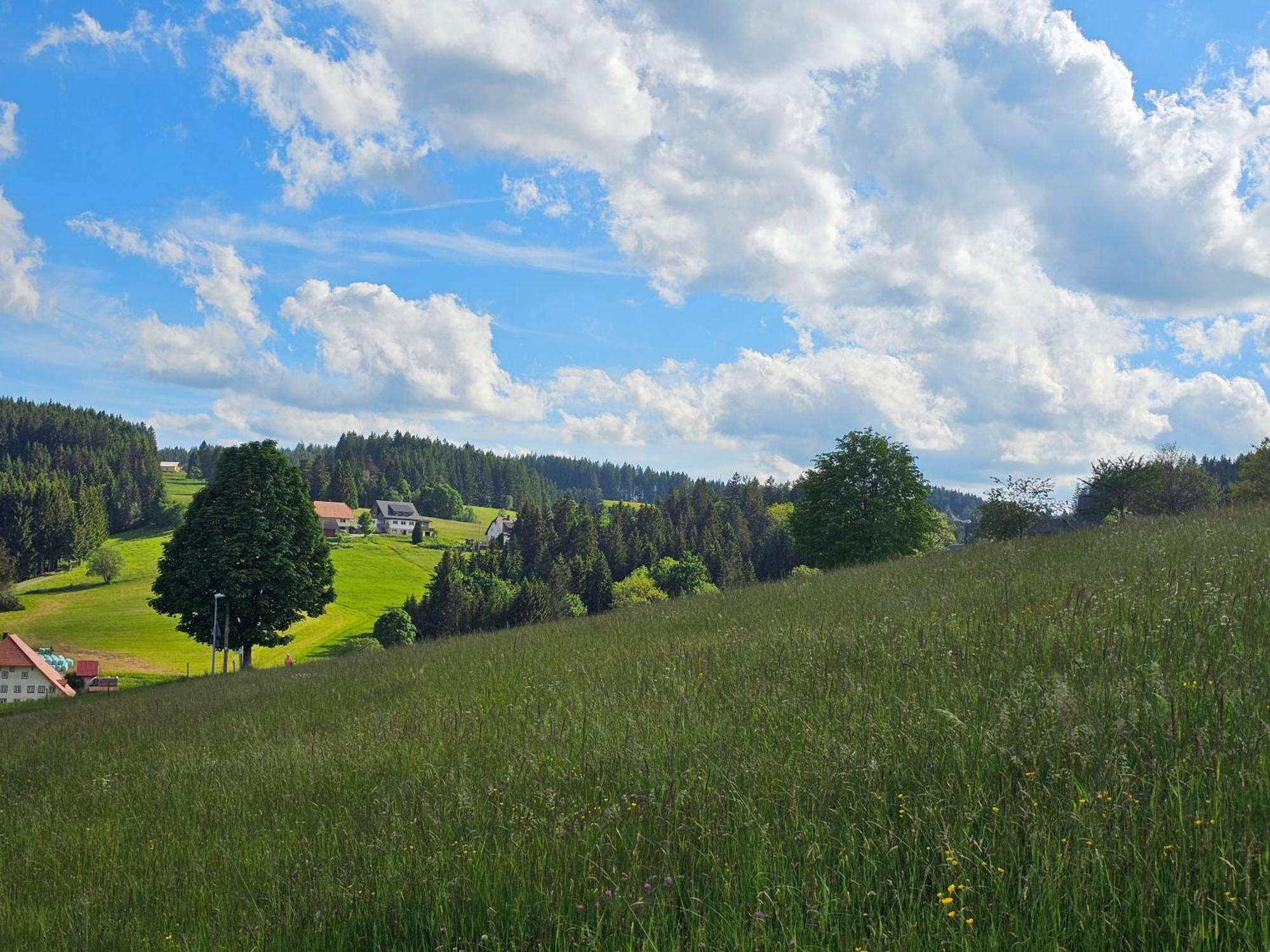 Miuti Residence Triberg im Schwarzwald Extérieur photo