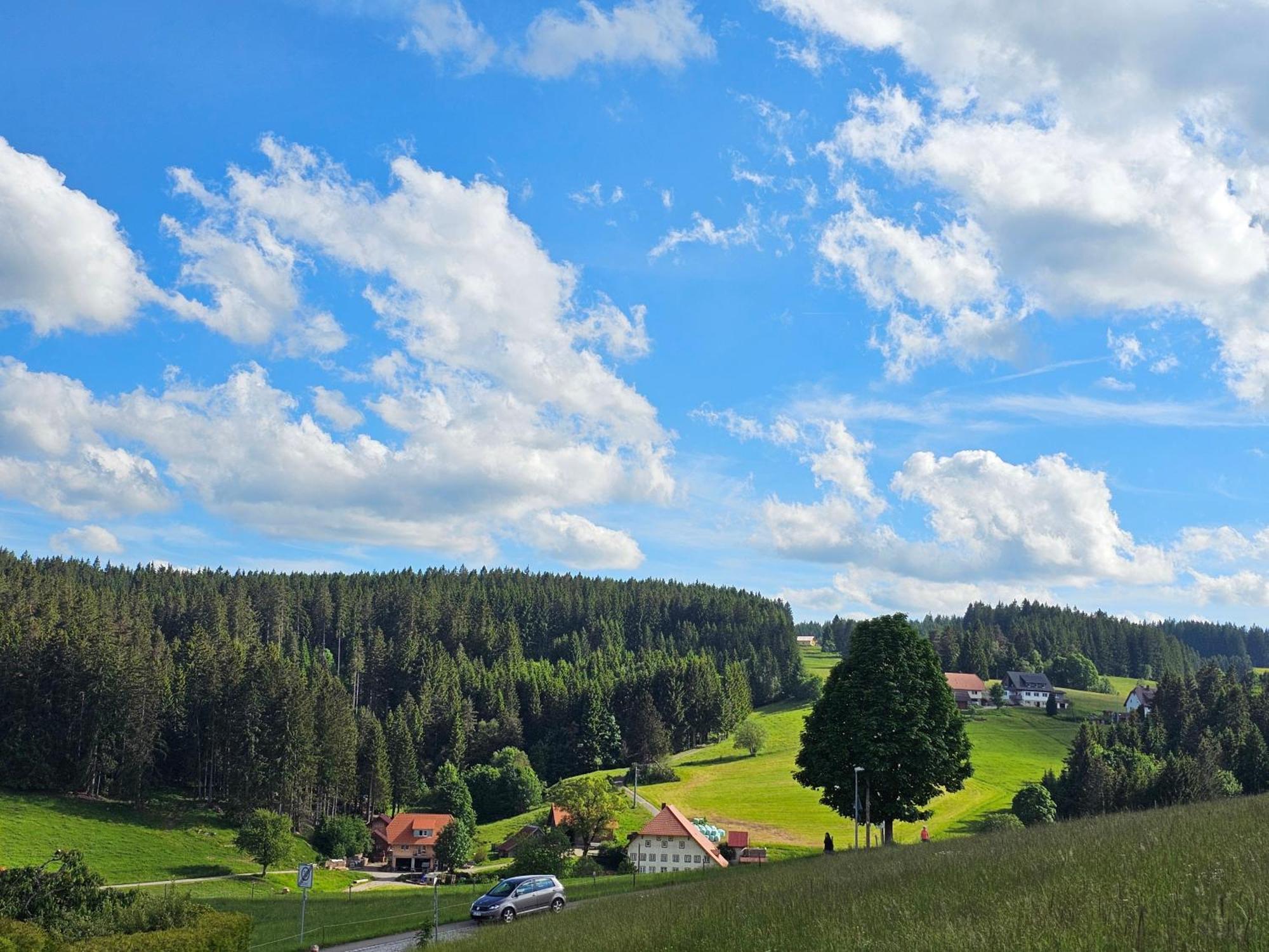 Miuti Residence Triberg im Schwarzwald Extérieur photo